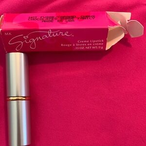 Mary Kay Hot Fudge Signature Creme Lipstick - Chic